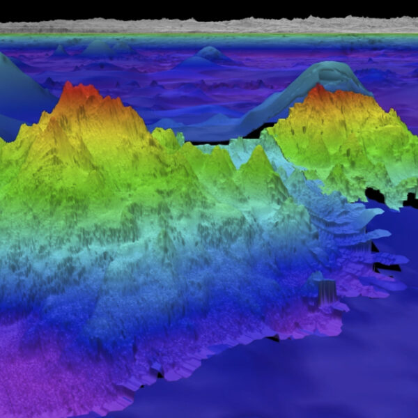 The tallest of the newly discovered seamounts is more than 8,000 feet tall. (Image credit: Schmidt Ocean Institute)